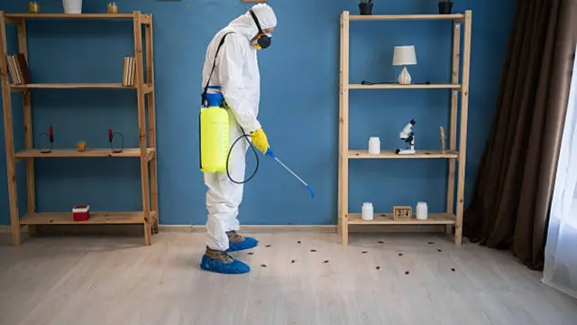 Technicien en combinaison traitant le plancher d'une pièce contre les coquerelles