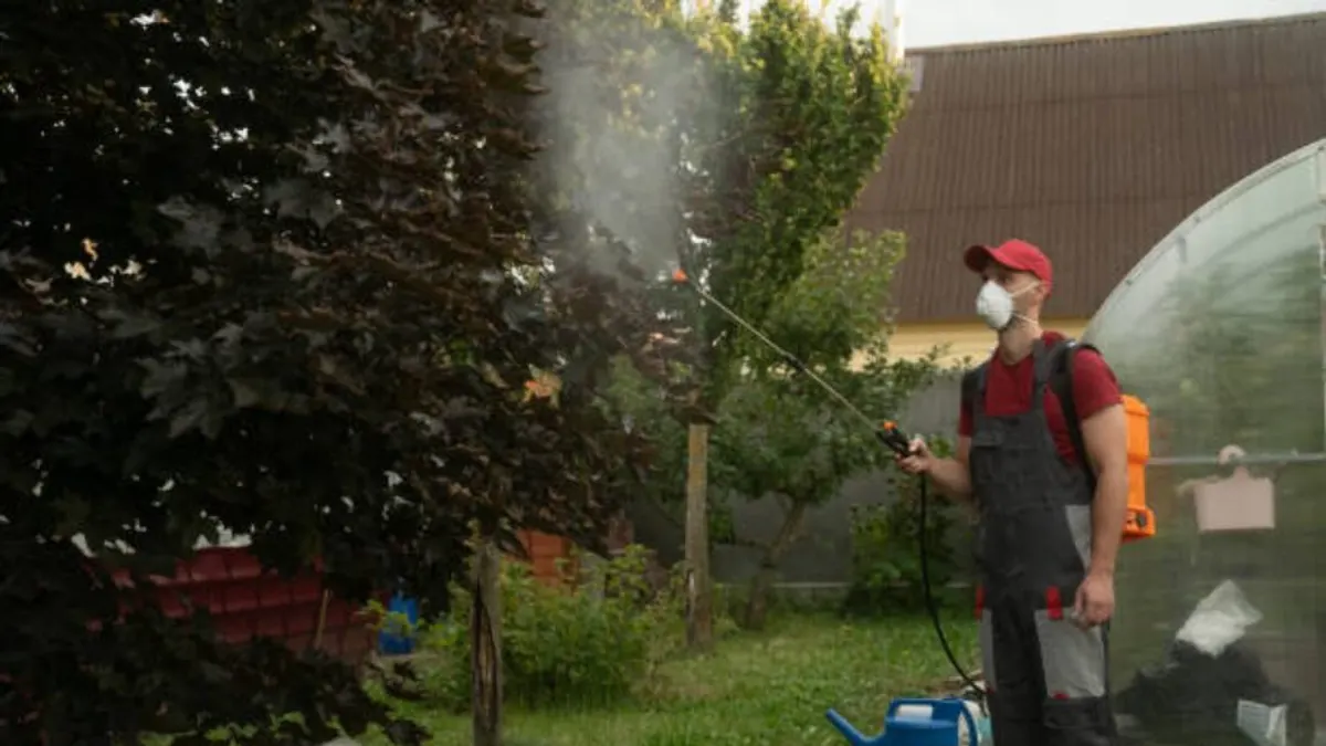 Summer exterior treatment of a garden with a sprayer