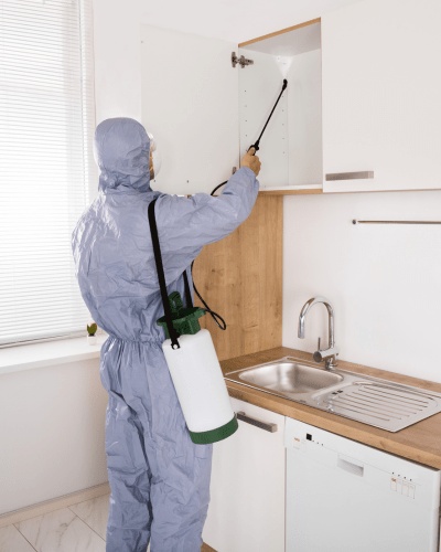 Fenix Pest Solutions