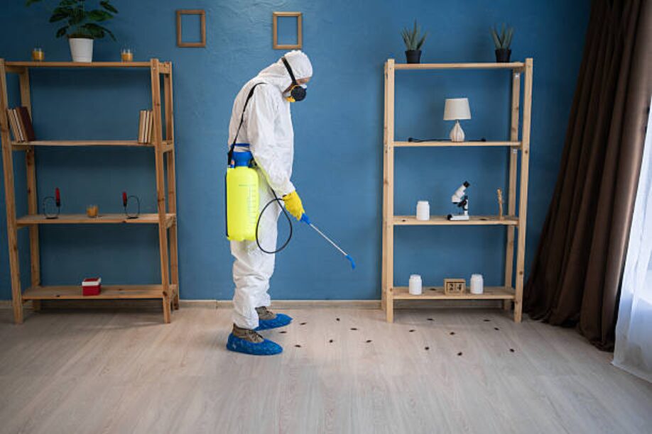 Cockroach Infestations