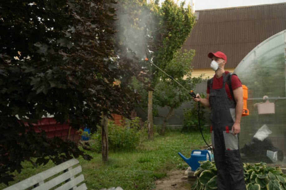 Conseils de lutte antiparasitaire