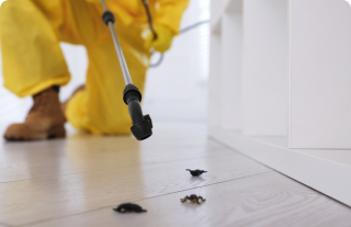 Fenix Pest Solutions|pest-control