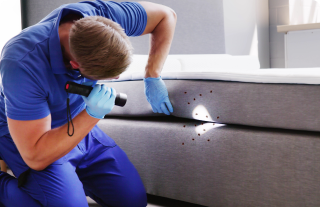 Fenix Pest Solutions|pest-control