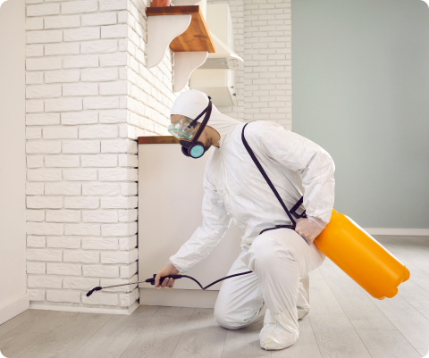 Fenix Pest Solutions|pest-control