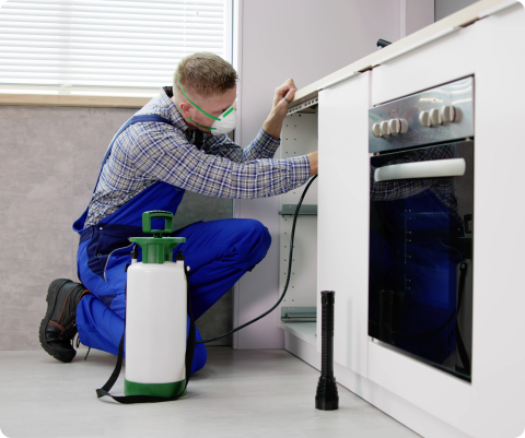 Fenix Pest Solutions|pest-control