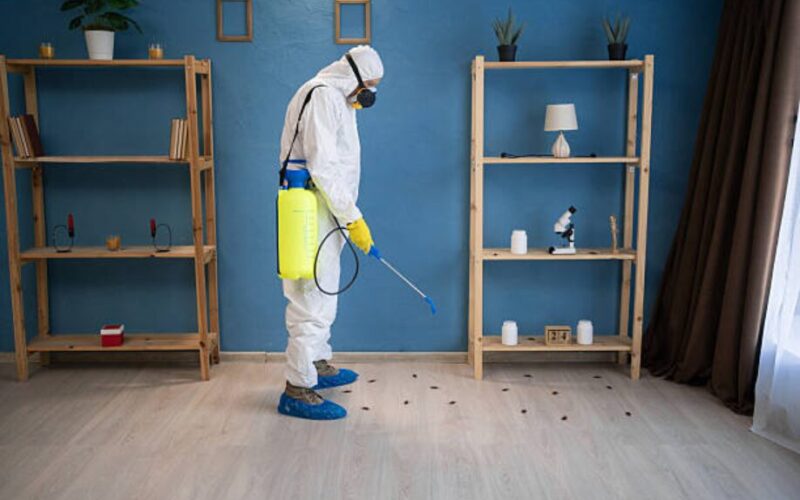 Cockroach Infestations